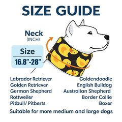 LovinPet collar recuperación, diseño suave para evitar lamidos.