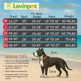 LovinPet Pijama Pitbull Impresión Decoupage: estilo único para fotos y paseos