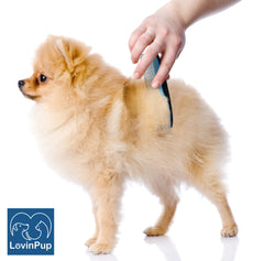 LovinPup peine pequeño para zonas sensibles y ojos con acabado suave.