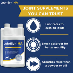 Perro con movimiento más fluido gracias a LubriSynHA para articulaciones.