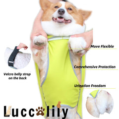 Protección de vientre de Luccalily para perros de patas cortas.