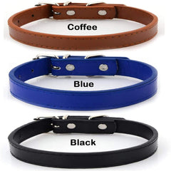 Collar Luck Dawn con anilla en D y etiquetas de identificación