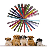 Collar Luck Dawn para cachorros con identificación y cuero suave, fácil de identificar