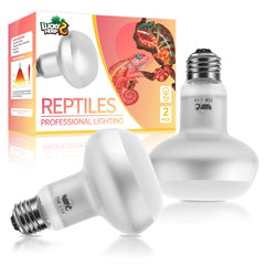 LUCKY HERP lampara calor intenso 75W con foco de baño cálido para reptiles.