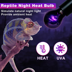 LUCKY HERP lámpara de calor nocturna para reptiles, mantiene ambiente cómodo