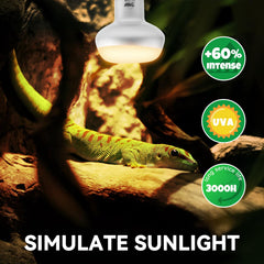 LUCKY HERP lampara luz natural simulada para terrarios, mejora el ambiente y confort reptil.