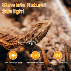 LUCKY HERP iluminación amplia para terrarios de distintos tamaños
