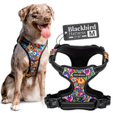 Arnés Easy Walker de Lucky Love Dog, frente visible para paseos controlados.