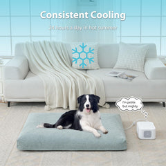 Cama Lucky Tom con doble capa y espuma interior para soporte.