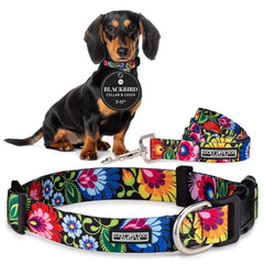 Collar Lucky Love Dog con diseño floral resistente para paseos diarios.