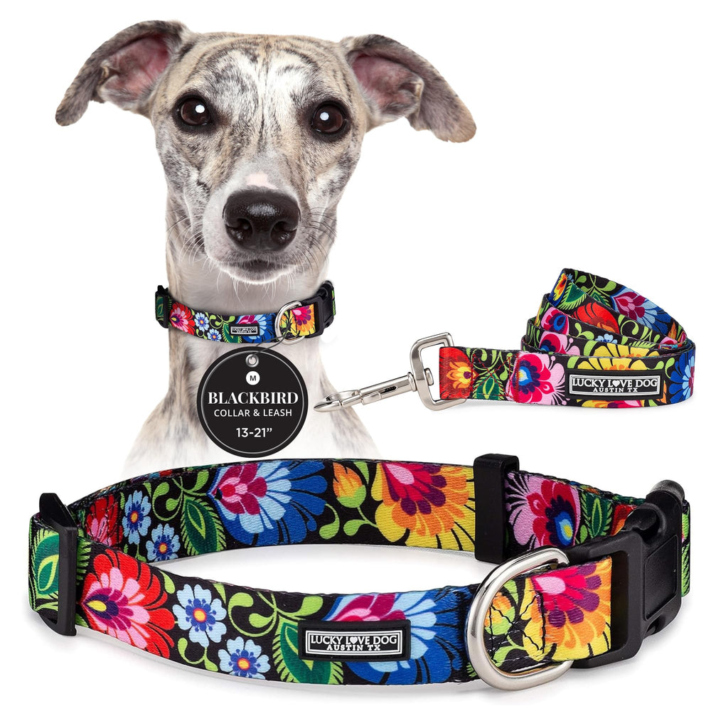 Lucky Love Dog collar con diseño floral vibrante para paseos con estilo.