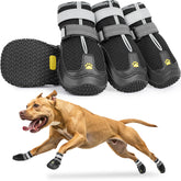 Mide la anchura y longitud de la pata con LUCKYPAW para un ajuste preciso.