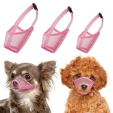 LUCKYPAW bozal conjunto 3 piezas XXS-S rosa para razas pequeñas