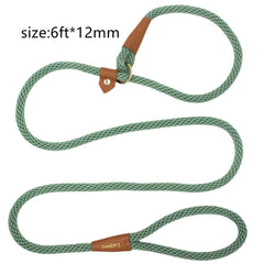 Lucpawz perro-paseo con diseño único y colores elegantes para estilo y seguridad.
