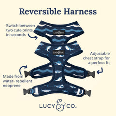 Arnés Lucy & Co. ajustable de pecho, cómodo para paseos largos.
