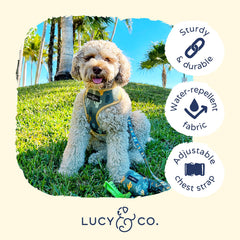 Arnés Lucy & Co diseño ergonómico para paseos diarios con ajuste cómodo