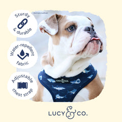 Arnés ligero y transpirable Lucy & Co. para mantener al perro cómodo al ejercitarse.