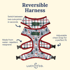 Lucy & Co. diseño en arnés ergonómico para paseos diarios.