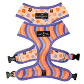 Lucy & Co arnés morado con ola floral coral para paseos cómodos.