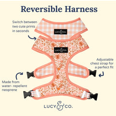 Lucy & Co arnés perro neopreno acolchado, protección suave