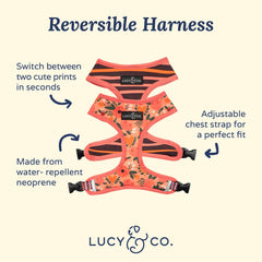 Lucy & Co arnés reversible, correas ajustables para un ajuste personalizado.