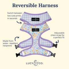 Lucy & Co arnés reversible para perros, vista trasera; patrón floral morado destacado.