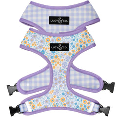 Lucy & Co arnés reversible para perros, vista frontal; cómodo y seguro para paseos diarios.
