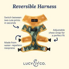 Arnés reversible Lucy & Co para perro mediano, vista trasera, doble estilo