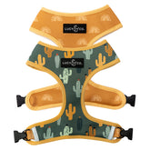 Arnés reversible Lucy & Co para perro mediano, vista frontal, estilo versátil para paseos