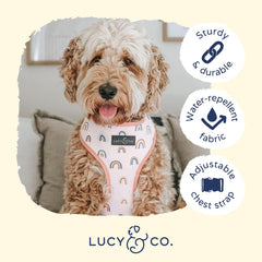 Arnés Lucy & Co. talla grande en Las Nubes, diseño reversible para looks variados.