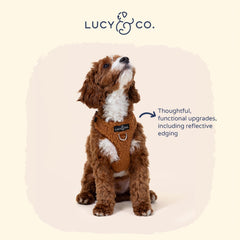 Lucy & Co. arnés Teddy Canela, clip trasero para caminar sin esfuerzo.