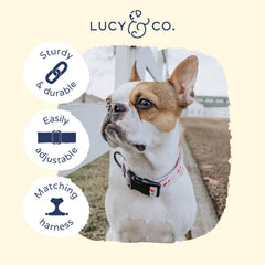 Collar Lucy & Co. Cerezas Alegres con diseño de cuadros rojo, elegante para todas las tallas.