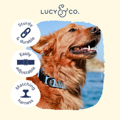 Lucy & Co. collar cómodo para uso diario en todas las tallas
