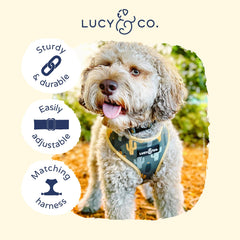 Lucy & Co Collar con patrón verde cactus para paseos con estilo.