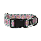 Lucy & Co. collar perro con cierre metálico duradero para paseos seguros.