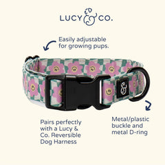 Lucy & Co. collar perro diseño multicolor para expresar personalidad.