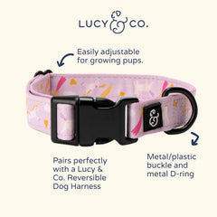 Lucy & Co. collar con diseños divertidos, ligero para paseos y juego.