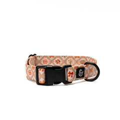 Lucy & Co. collar duradero y ligero para paseos diarios en naranja crema.