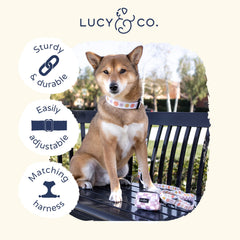 Lucy & Co. collar con estampados únicos, personalidad destacada en cada paseo.