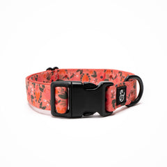 Lucy & Co. collar para perro rosa floral, duradero para uso diario.
