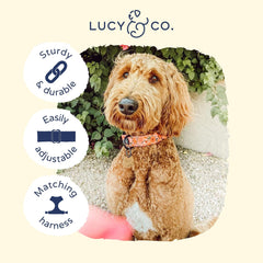 Lucy & Co. collar para perro rosa floral, diseño floral coral para estilo.