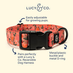 Lucy & Co. collar para perro rosa floral, hebilla metálica segura.