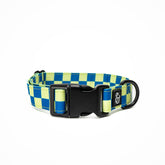 Collar Lucy & Co para perros, diseño verde lima y azul, ideal para paseos con estilo