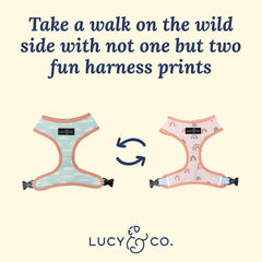Lucy & Co. en Las Nubes: arnés acolchado ajustable para paseos suaves y seguros.