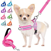 Arnés Lukovee anti-tirones para perro pequeño visto de frente, ideal para paseos controlados