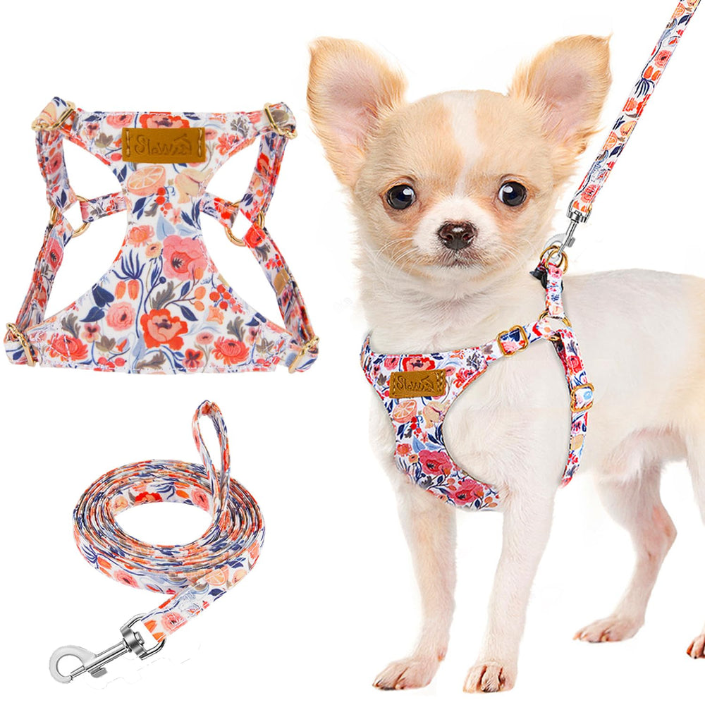 Lukovee arnés para cachorro, peso ligero, ideal para paseos diarios.