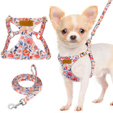 Lukovee arnés para cachorro, peso ligero, ideal para paseos diarios.