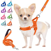 Arnés Lukovee para perro pequeño con ajuste cuello-pecho, ideal para paseos diarios
