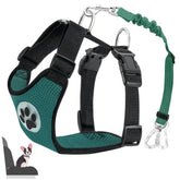 Lukovee cinturón para perro en coche con doble clip, seguridad flexible.