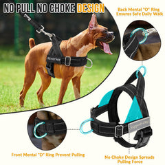 Arnés Lukovee No Pull vista trasera para entrenamiento y seguridad.